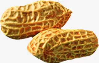 高清黄色纹理花生免抠