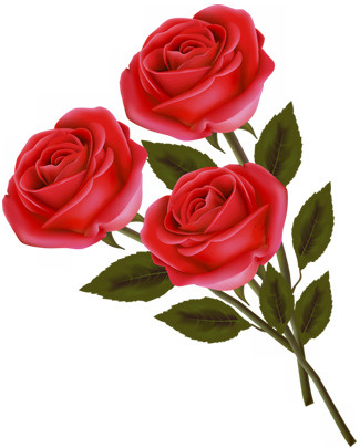 花卉矢量图素材线描花草免抠