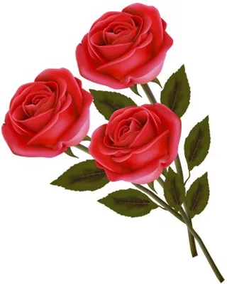 花卉矢量图素材线描花草免抠