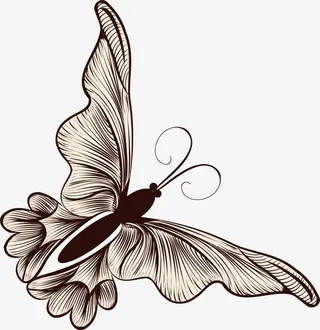 手绘小鸟花免抠