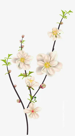 花朵树枝丫绿白生机免抠
