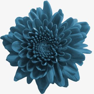 唯美背景图片背景元素