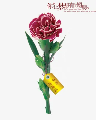 教师节鲜花素材图片免抠