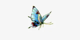 春节富贵花开迎蝴蝶免抠