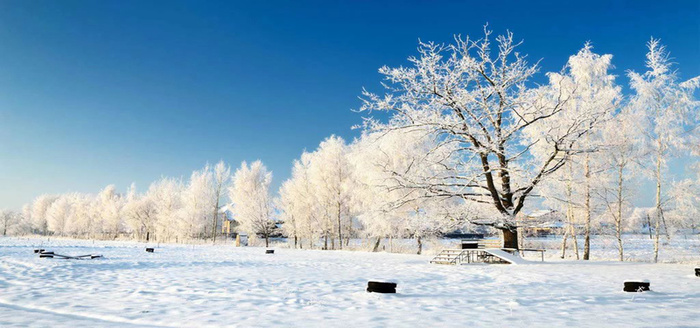 冬季雪景高清