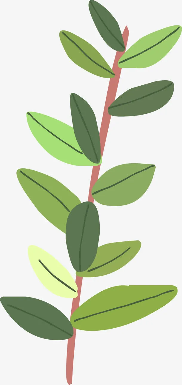手绘树枝免抠