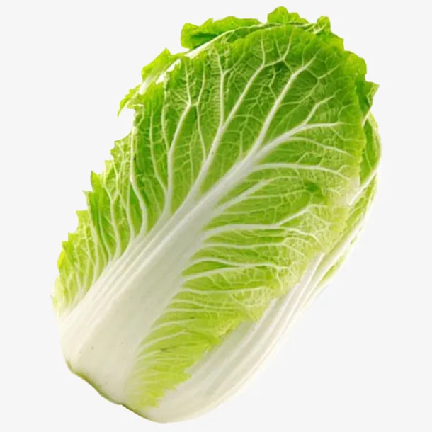 新鲜的大白菜免抠