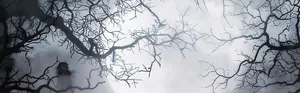 哥特式树枝背景高清
