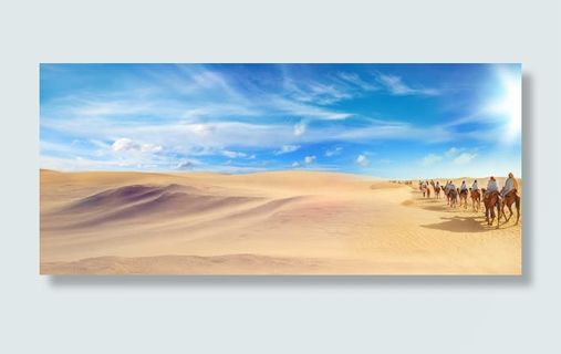 沙漠骆驼宽屏背景免抠