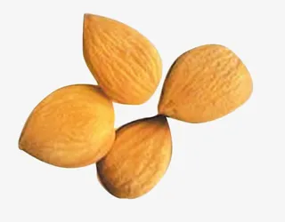 免抠素材坚果图片免抠