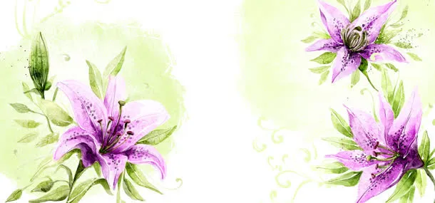 紫色盛开鲜花插画背景免抠