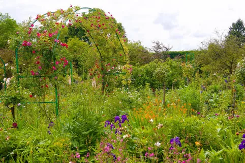 鲜花绿茶植物花园摄影图免抠