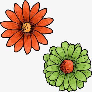 手绘水彩花卉免抠