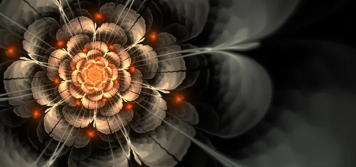 艺术花效果 素材图片高清