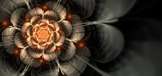 艺术花效果 素材图片高清