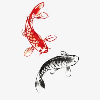 新年鲤鱼元素免抠