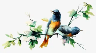 阳光下的小鸟免抠