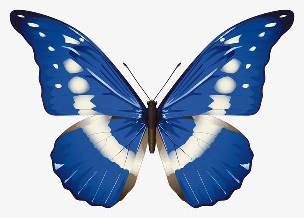 蓝色彩色蝴蝶PNG图片免抠