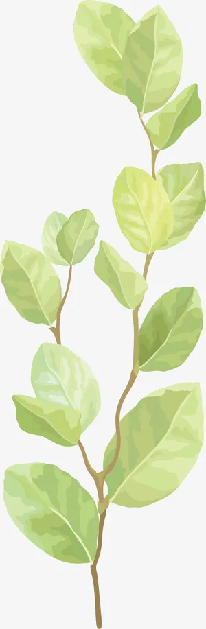 树枝绿叶PNG下载免抠