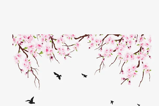 春天精美粉红樱花免抠