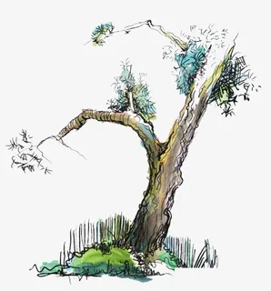 松树树干素材免抠