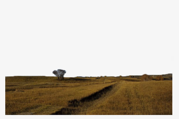 秋风里的小山坡免抠