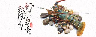 美食龙虾背景高清