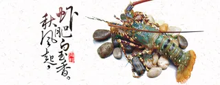 美食龙虾背景高清