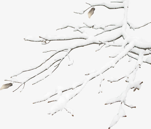 白色雪花树枝造型免抠