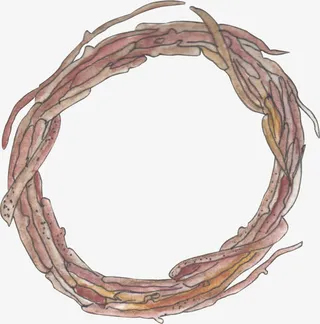 树枝编制的圆圈免抠