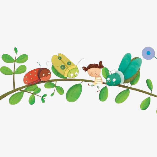 昆虫免抠