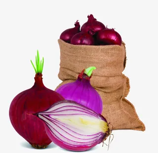 洋葱PNG素材免抠