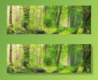 高清树林森林素材背景免抠背景banner海报元素