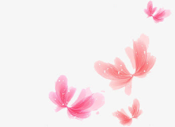 卡通闪亮海报花瓣免抠