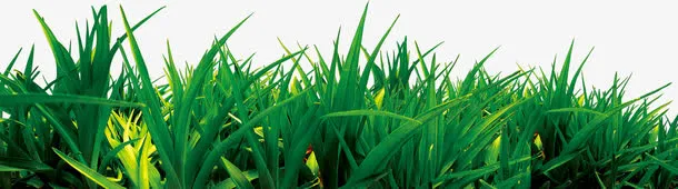 绿色时尚清新草地生长免抠