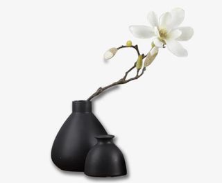 仿真白玉兰花盆景图片免抠