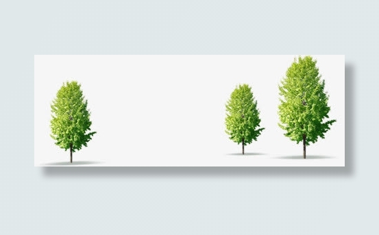 清新文艺公园小树免抠