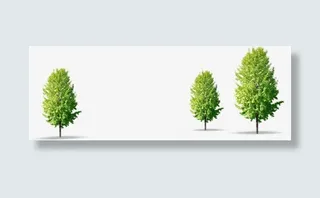 清新文艺公园小树免抠