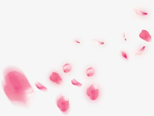 粉色绚丽漂浮模糊花瓣免抠