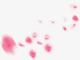 粉色绚丽漂浮模糊花瓣免抠