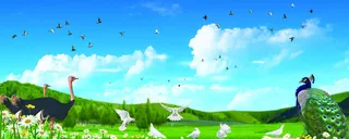 爱鸟周舞台背景高清