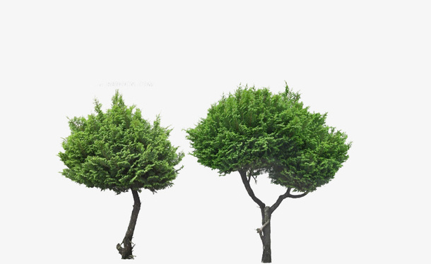 绿色植物免抠