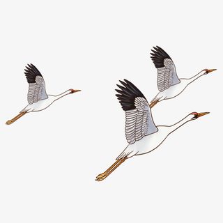 鹤起飞的仙鹤儿童插画卡通免抠