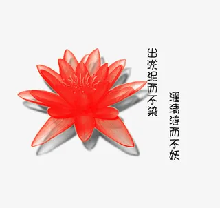 红色睡莲免抠