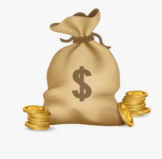 金融理财贷款金币钱袋子免抠