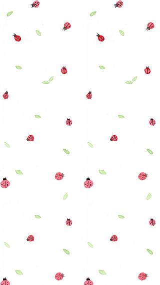 菜鸟图库网-手绘可爱风七星瓢虫白色红色H5背高清