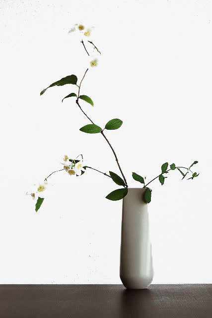 花瓶免抠