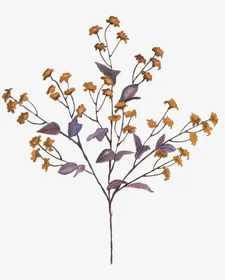 树枝上枯萎的花朵免抠