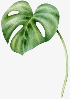 手绘绿色叶子免抠图免抠