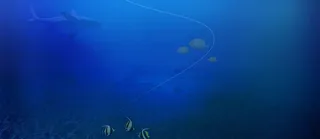 蓝色渐变海底海鲜类背景高清